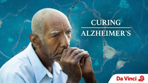 Curing Alzheimer's