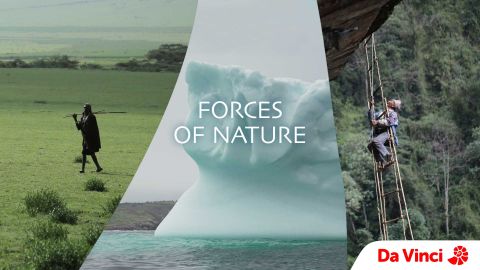 Forces of Nature
